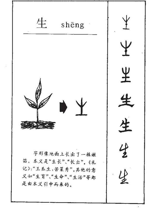 小学汉源识字图片