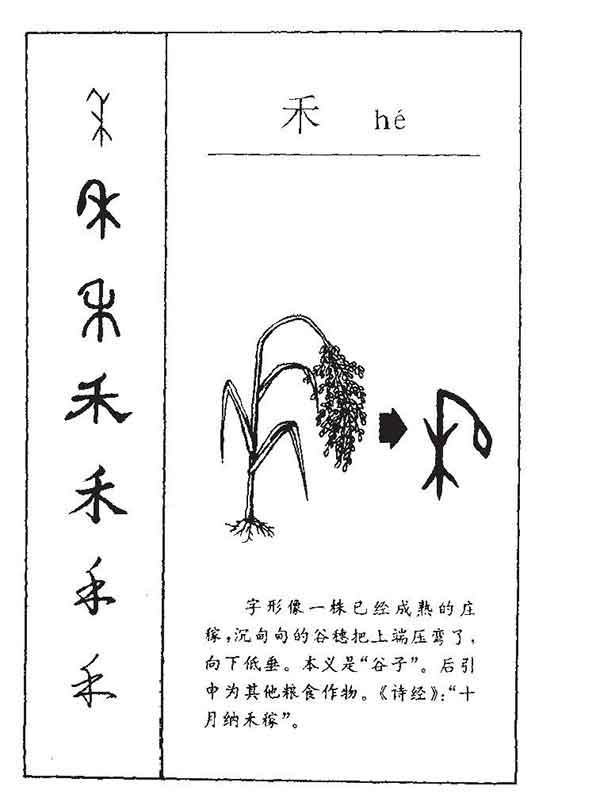 字源识字