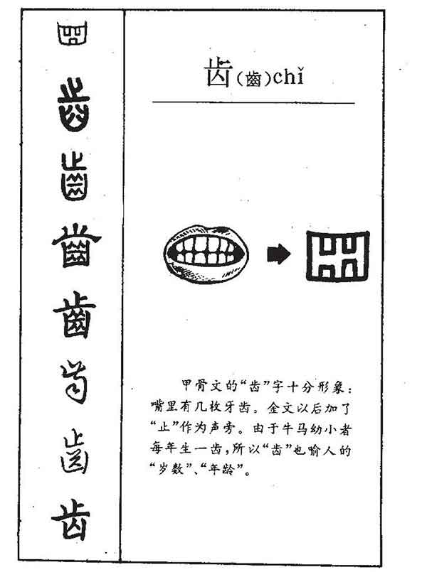 字源识字