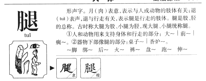 字源识字
